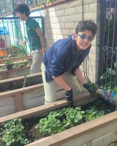 Our 5th-8th graders at the Hancock Park campus spent the day gardening and learning about plant